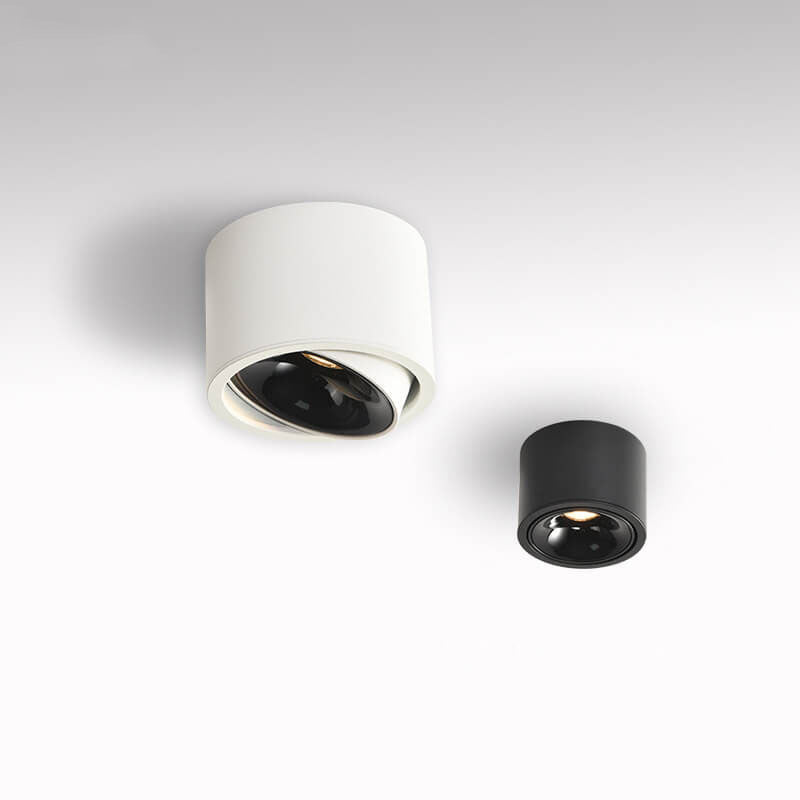 Adjustable LED Round Flush Mount Ceiling Light