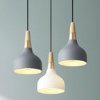 Modern Macaron Disc 1-Light Pendant Lamp