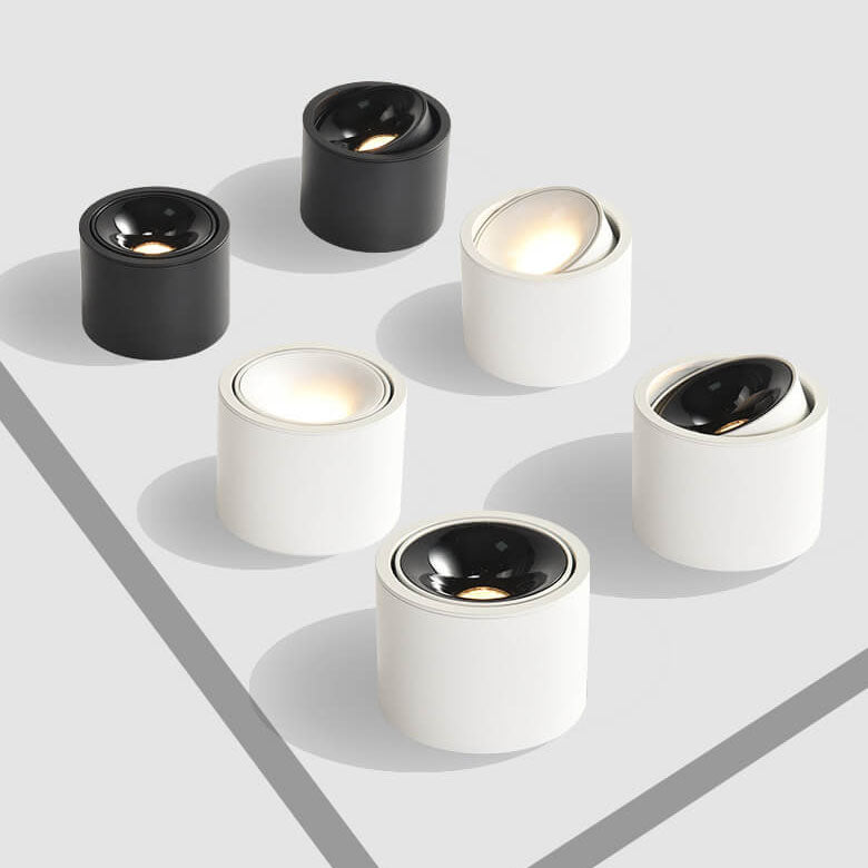 Adjustable LED Round Flush Mount Ceiling Light