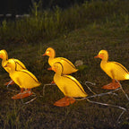 Premium Solar Duck LED Garden Light