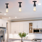 Steampunk Iron and Glass 1-Light Flush Mount Ceiling Light