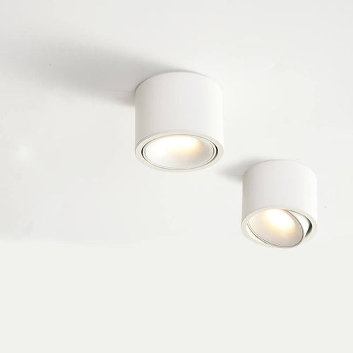 Adjustable LED Round Flush Mount Ceiling Light