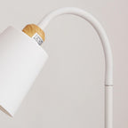 Premium Minimalist Iron Floor Lamp - 1 Light
