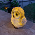 Premium Solar LED Owl Garden Light