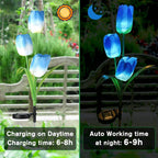 Premium Solar Tulip LED Landscape Light