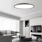 Contemporary Round Acrylic LED Flush Mount Ceiling Light