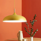 Contemporary Metal & Wood Dome Pendant Light