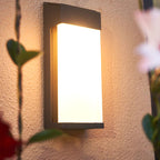 Industrial Solar Frosted Glass Outdoor Light