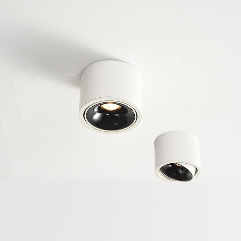 Adjustable LED Round Flush Mount Ceiling Light