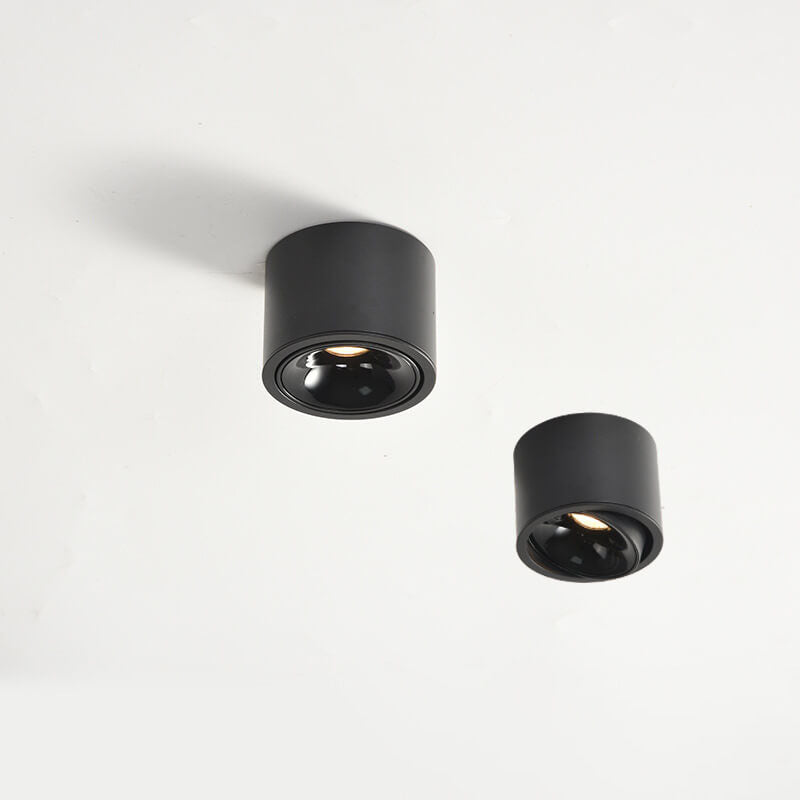 Adjustable LED Round Flush Mount Ceiling Light