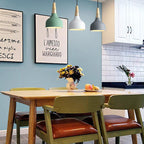 Modern Macaron Disc 1-Light Pendant Lamp