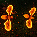 Premium Art Deco Waterproof LED Bee Landscape Light