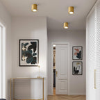 Contemporary Brass LED Flush Mount Ceiling Spotlight