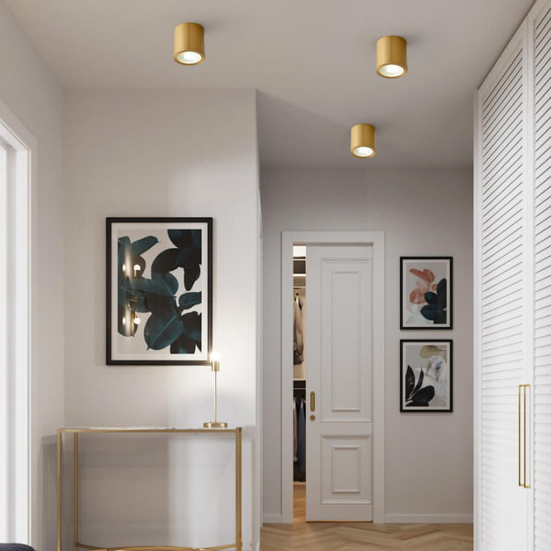 Contemporary Brass LED Flush Mount Ceiling Spotlight