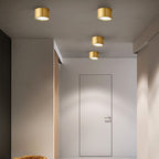 Contemporary Brass LED Flush Mount Ceiling Spotlight