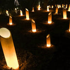 Modern Waterproof Solar Bamboo LED Garden Light