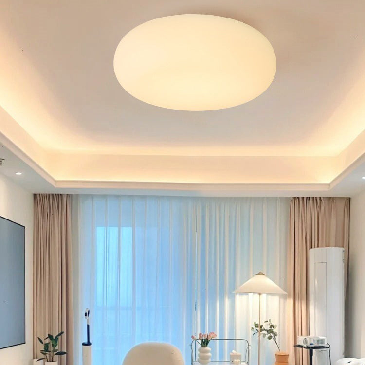 Contemporary Oval Iron LED Flush Mount Ceiling Light