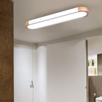 Scandinavian Long Oval Iron LED Flush Mount Ceiling Light for Bedroom