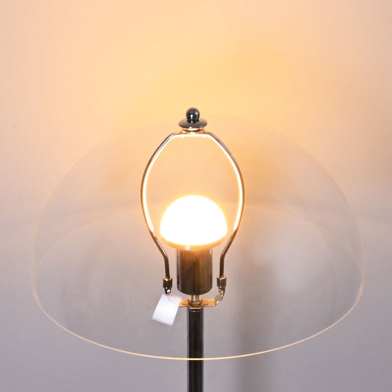 Nordic Vintage Clear Acrylic 1-Light Floor Lamp