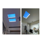 Blue Sky Metal LED Flush Mount Light