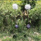 Premium Solar Dandelion LED Garden Light