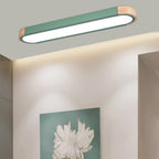Scandinavian Long Oval Iron LED Flush Mount Ceiling Light for Bedroom