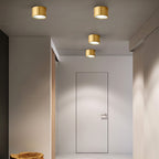 Contemporary Brass LED Flush Mount Ceiling Spotlight
