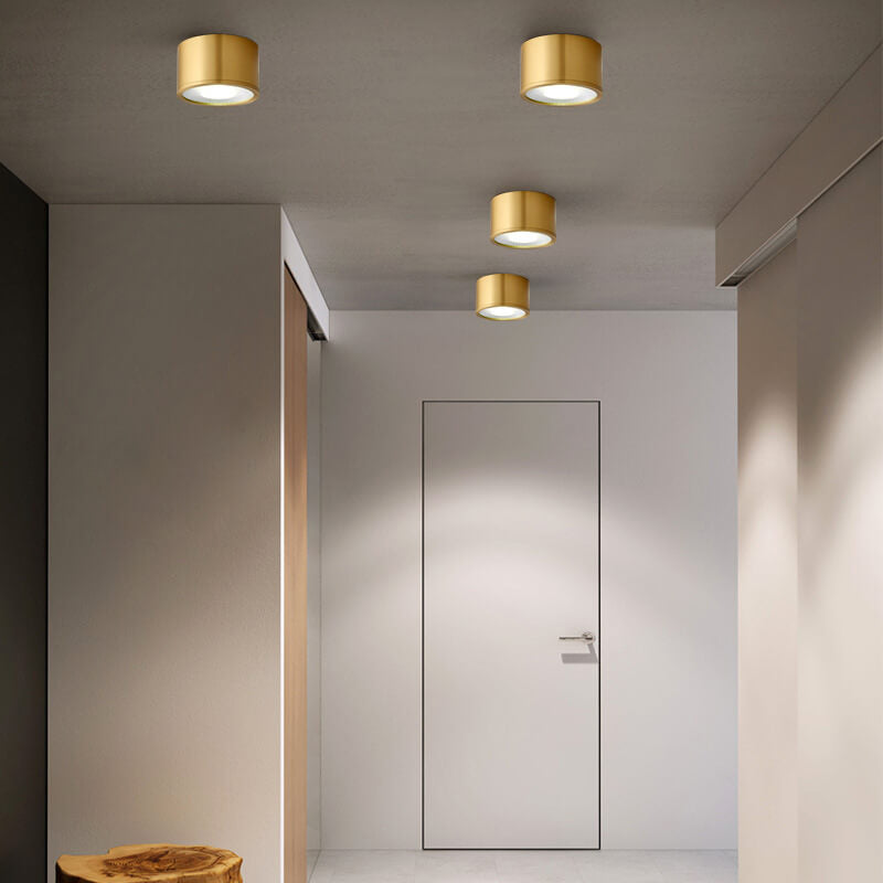 Contemporary Brass LED Flush Mount Ceiling Spotlight