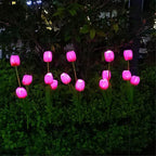 Premium Solar Tulip LED Landscape Light