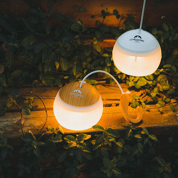 Rechargeable LED Camping Light