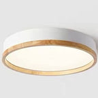 Elegant Round Acrylic LED Flush Mount Ceiling Light