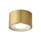 Contemporary Brass LED Flush Mount Ceiling Spotlight