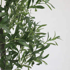 Premium Olive Leaf LED Decorative Light