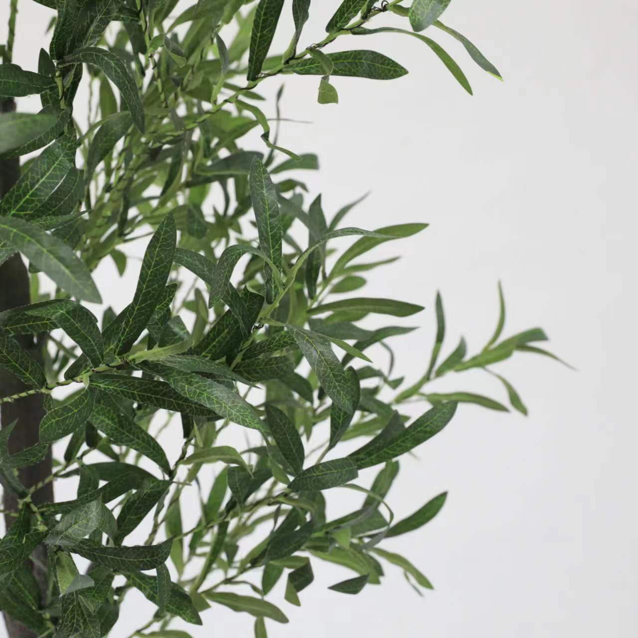 Premium Olive Leaf LED Decorative Light