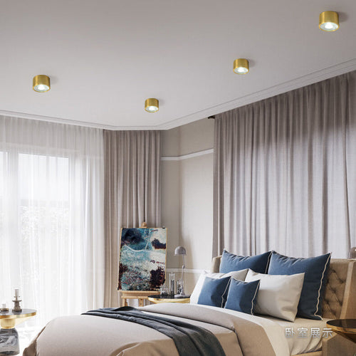 Contemporary Brass LED Flush Mount Ceiling Spotlight
