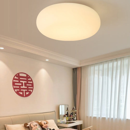 Contemporary Oval Iron LED Flush Mount Ceiling Light