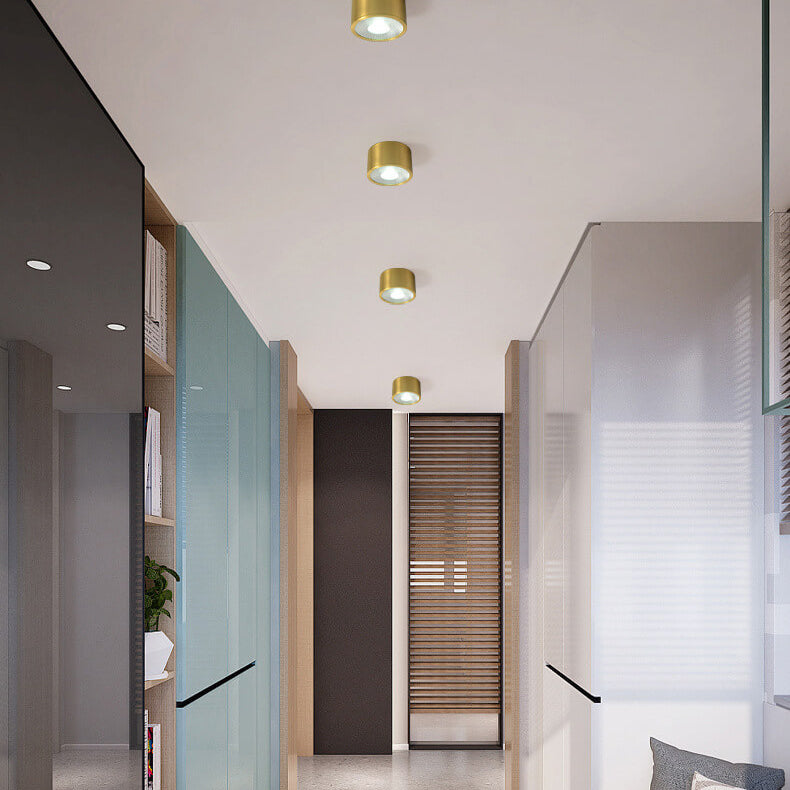 Contemporary Brass LED Flush Mount Ceiling Spotlight