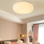 Contemporary Oval Iron LED Flush Mount Ceiling Light