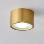 Contemporary Brass LED Flush Mount Ceiling Spotlight