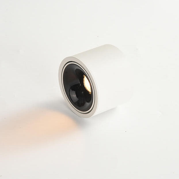 Adjustable LED Round Flush Mount Ceiling Light