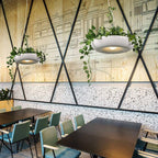 Contemporary Circle 1-Light Pendant Lamp