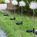Premium Solar Dandelion LED Garden Light