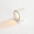 Adjustable LED Round Flush Mount Ceiling Light
