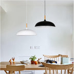 Contemporary Metal & Wood Dome Pendant Light