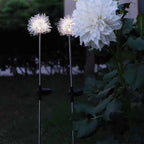 Premium Solar Dandelion LED Garden Light