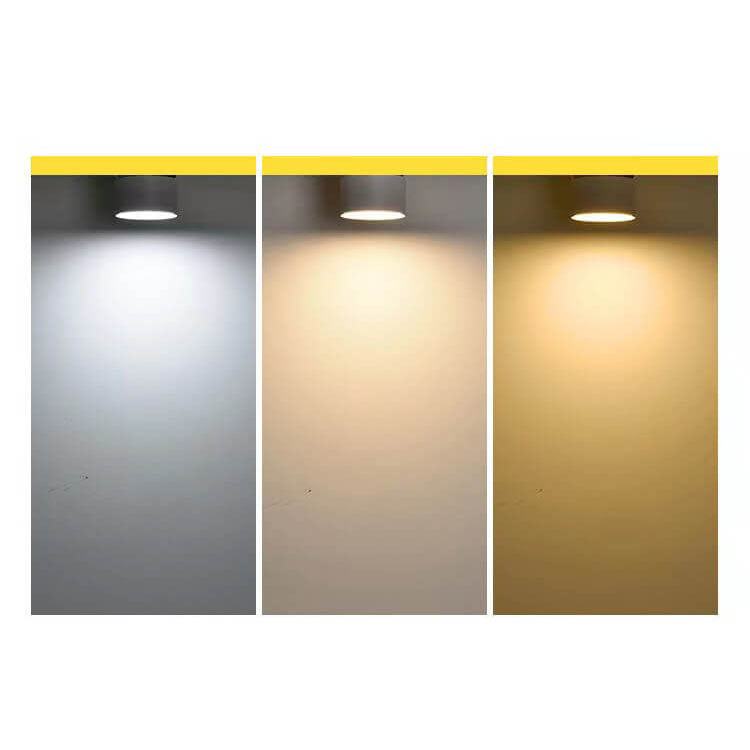 Minimalist Round Rotatable LED Wall Sconce Lamp