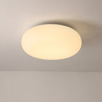 Contemporary Oval Iron LED Flush Mount Ceiling Light