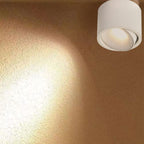 Adjustable LED Round Flush Mount Ceiling Light