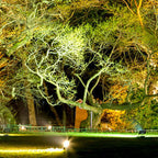 Premium Waterproof LED Garden Spotlight