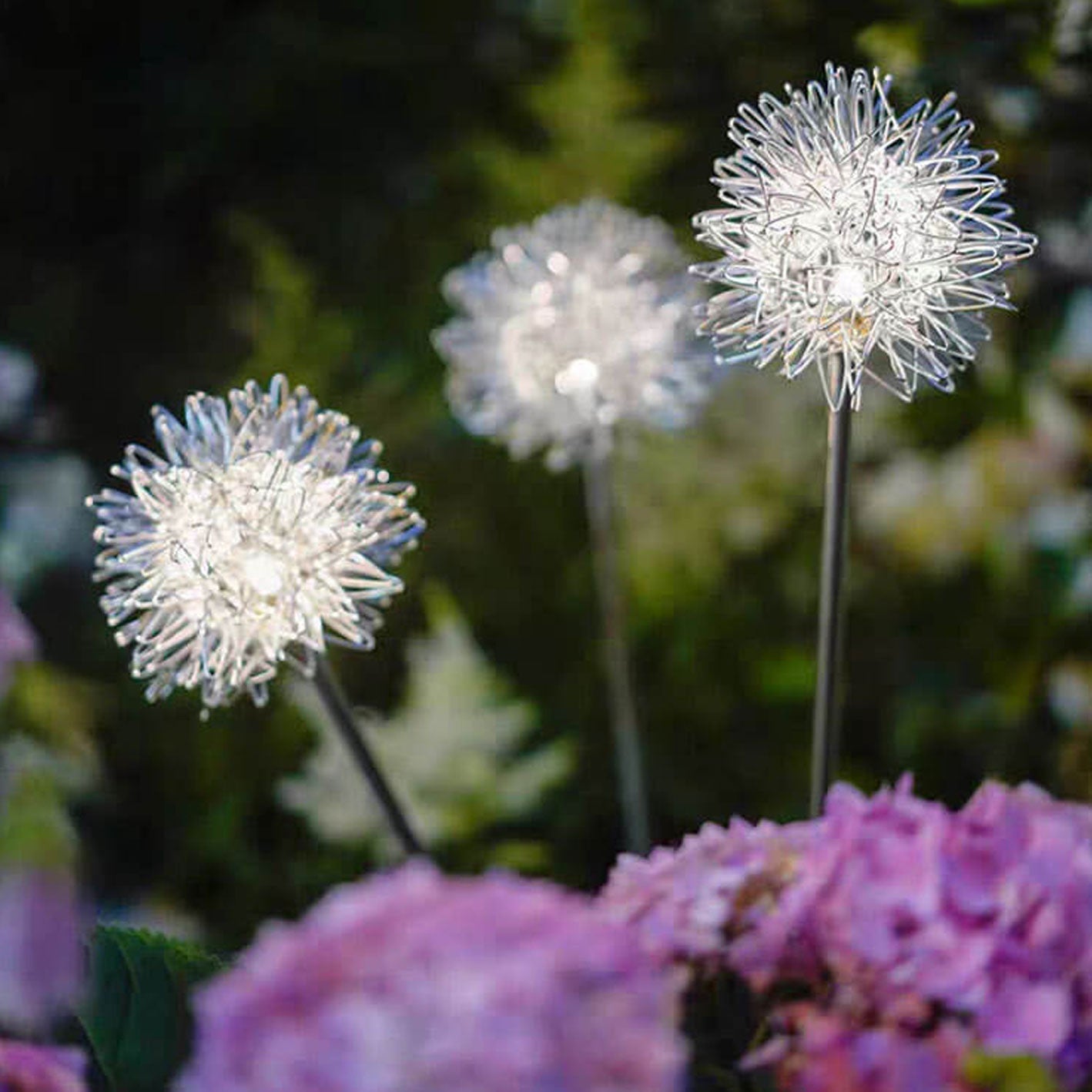 Premium Solar Dandelion LED Garden Light
